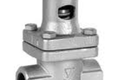 Valve 12