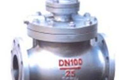 Valve 13